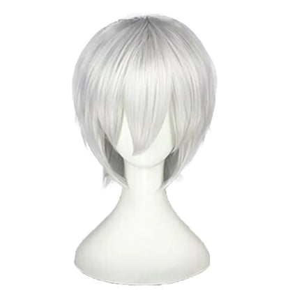 Anime  Silver Wig