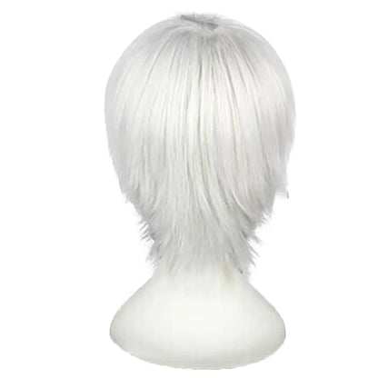 Anime  Silver Wig